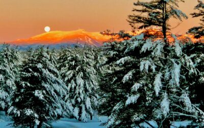 103 Foxfire Lane, Stowe, VT