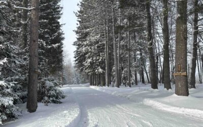 821 Paquette Road, Craftsbury, VT