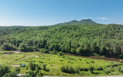 2434 Vt Rte 15 East, Morristown, VT