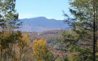 0 Dogwood Springs Road, Stowe, VT