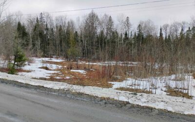 00 Flagg Pond Road, Stannard, VT