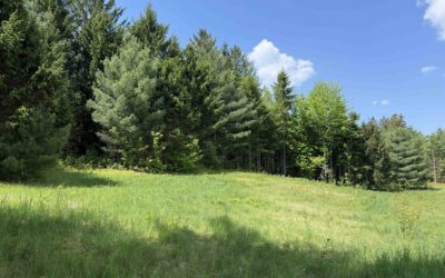 21 Dinky Lane, Morristown, VT
