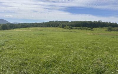 00 corner of Cleveland Corners and Trombley Hill Road, Hyde Park, VT