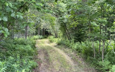 0 Richard Woolcutt Road, Wolcott, VT