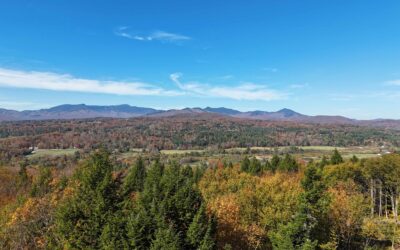 0 Dogwood Springs Road, Stowe, VT