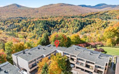 1227 Notchbrook Road, Stowe, VT